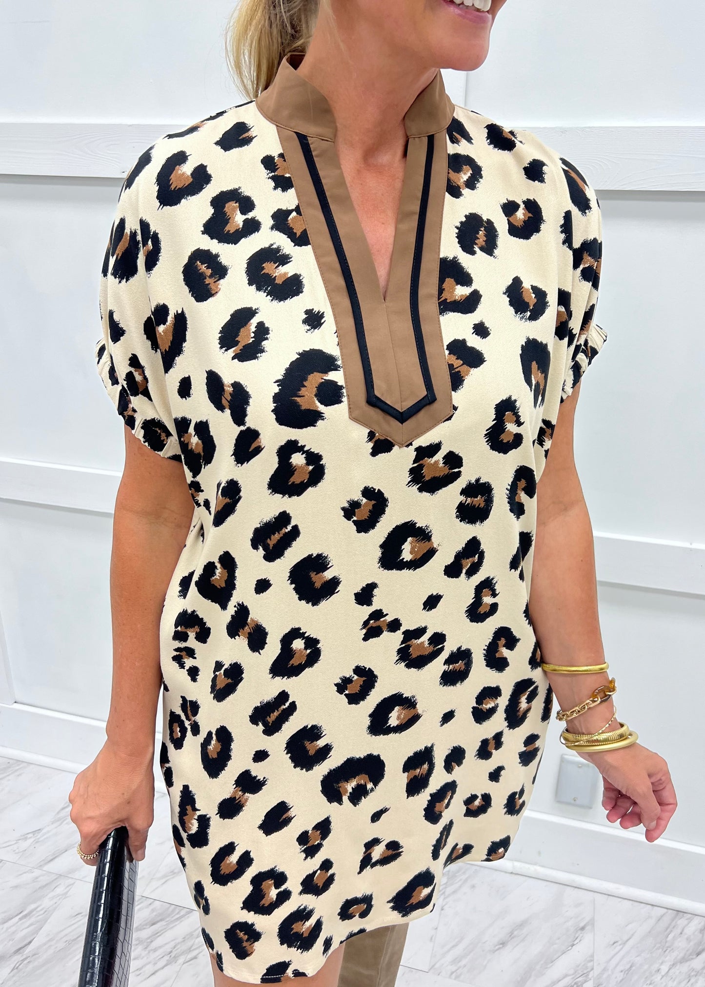 Wild Side Leopard Stripe Dress