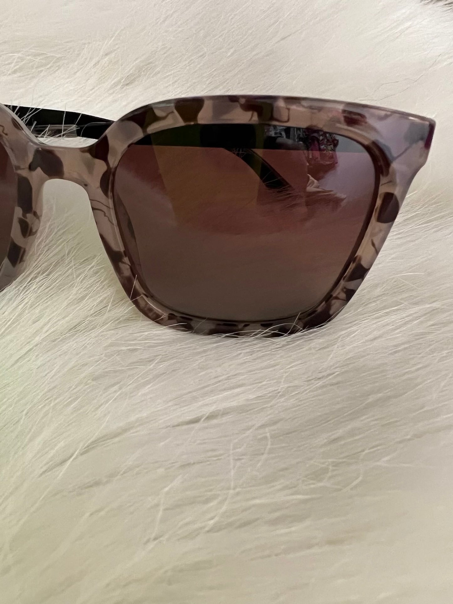 Rhodes Sunglasses