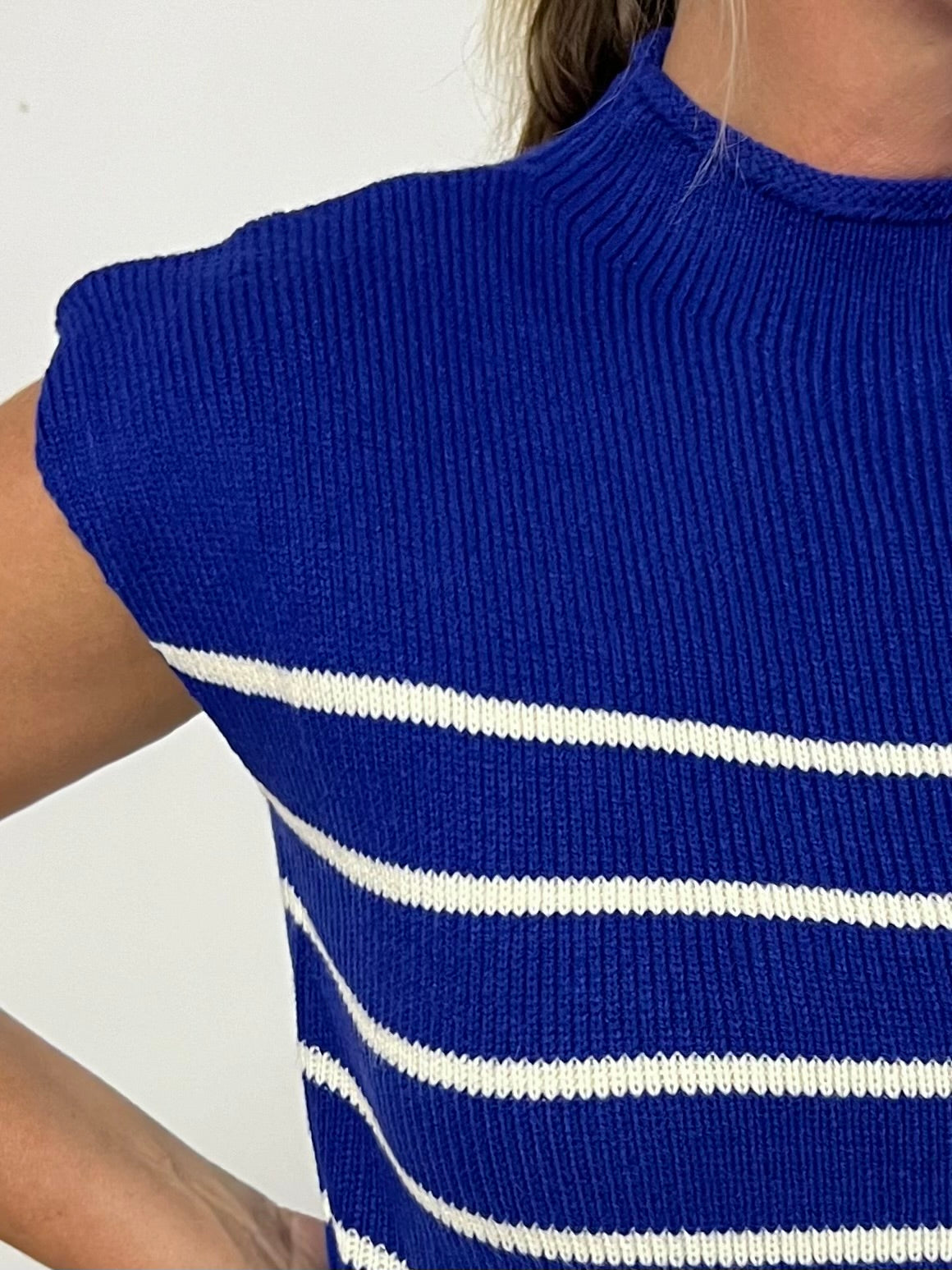 Waldorf Stripe Short Sleeve Sweater (Blue)