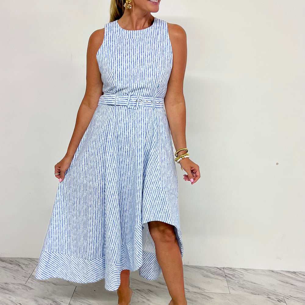 Celebration Stripe + Belted Dress