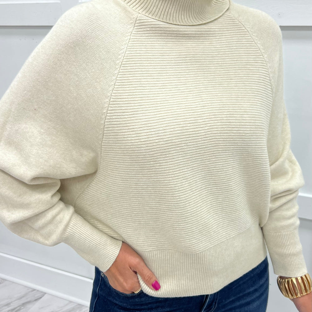 Park City Turtleneck Top (Oatmeal)