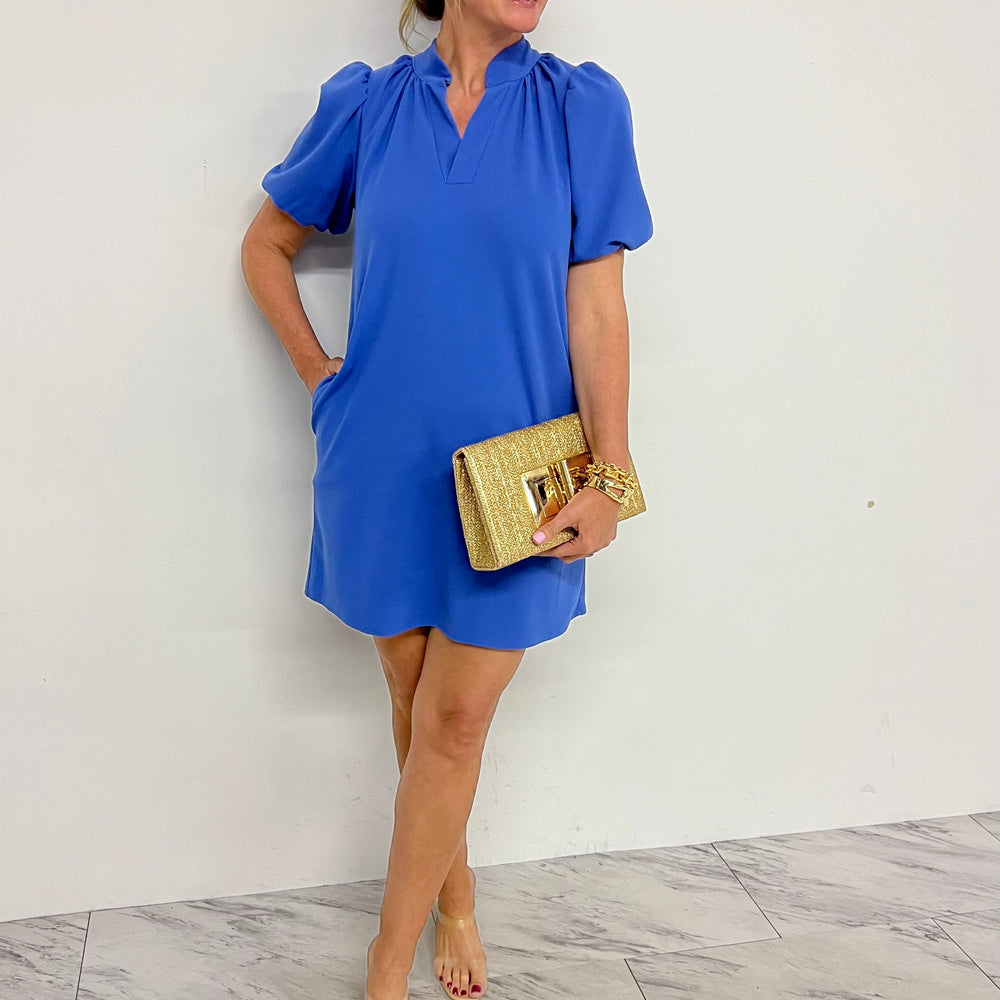 
                  
                    Neena Puff Sleeve Dress (Blue)
                  
                