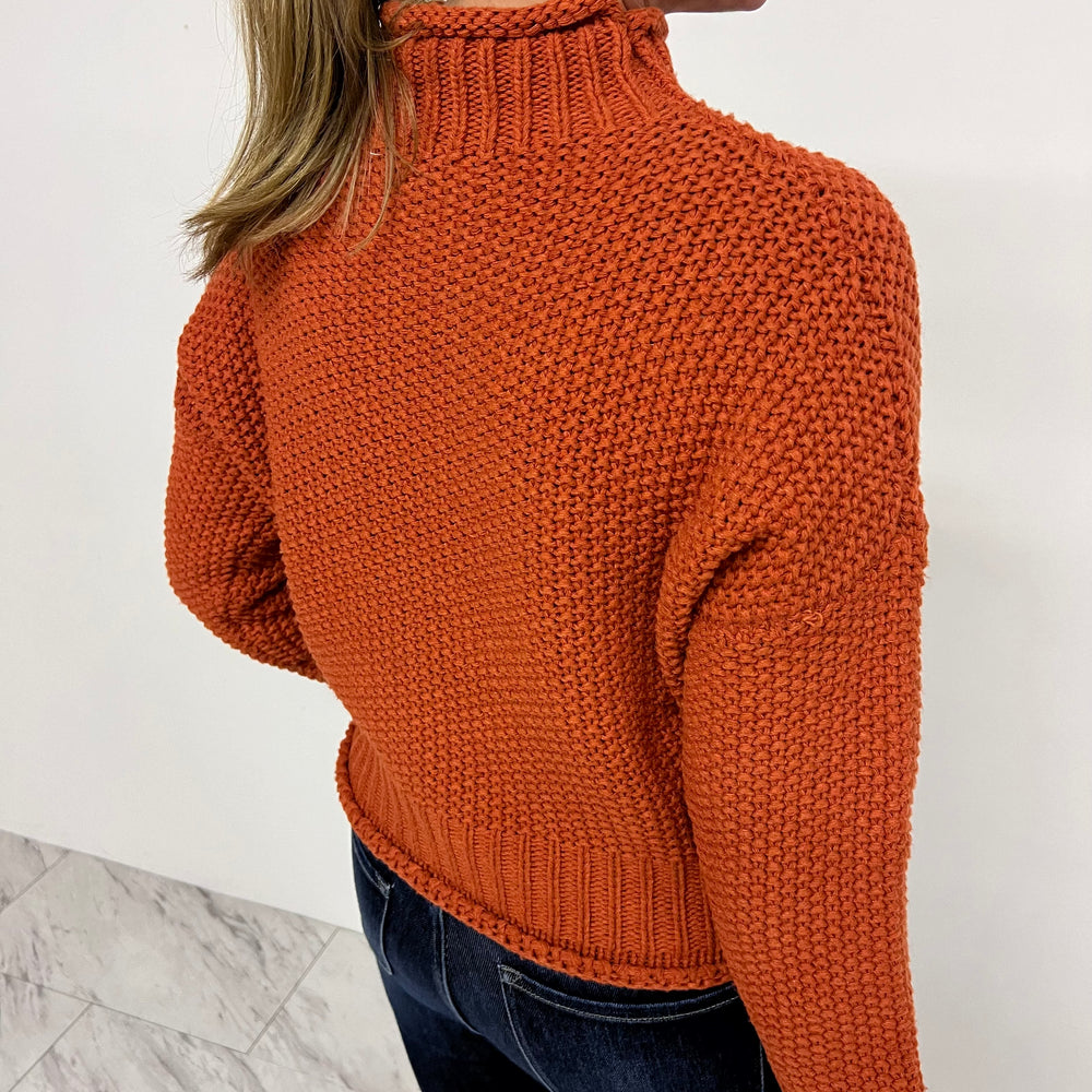 
                  
                    Montana Mock Neck Sweater (rust)
                  
                