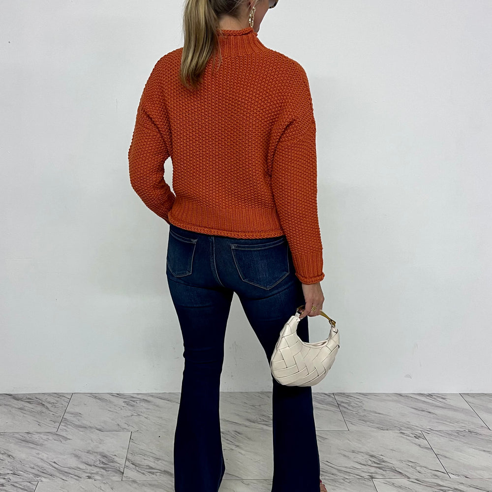 
                  
                    Montana Mock Neck Sweater (rust)
                  
                