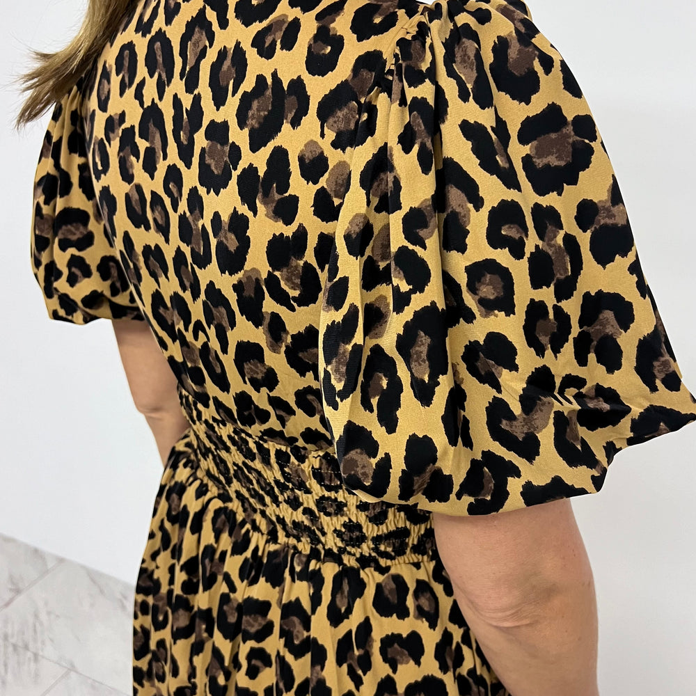 
                      
                        Harrington Leopard Dress
                      
                    