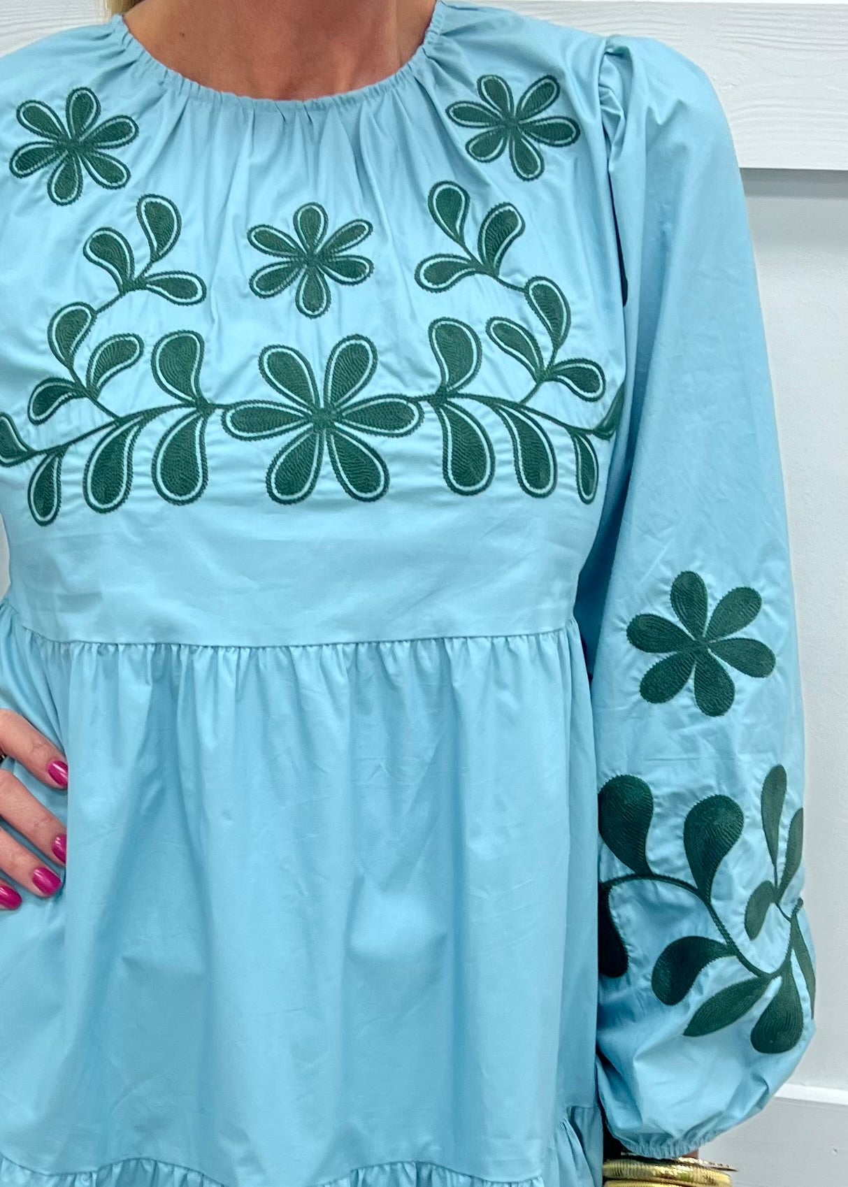 Charleston Embroidered Dress