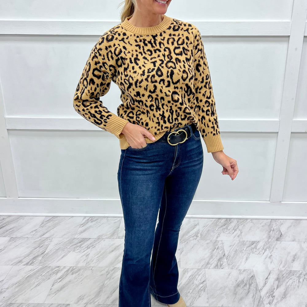 
                  
                    Chic Spots Leopard Sweater
                  
                
