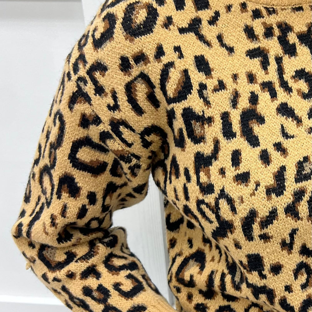 Chic Spots Leopard Sweater