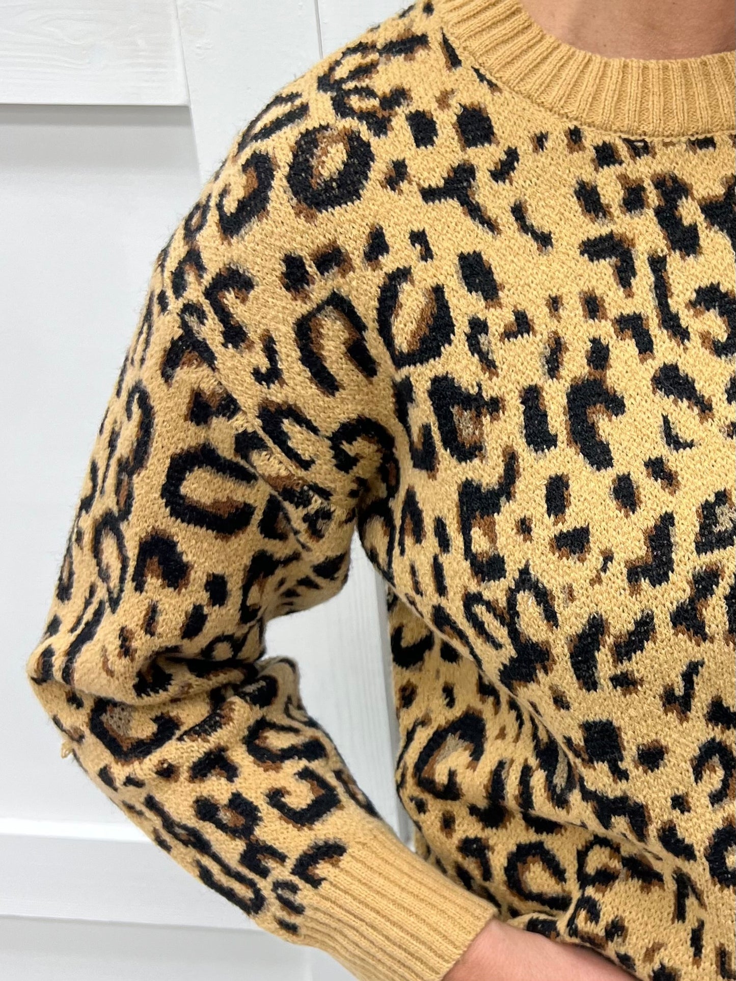 Chic Spots Leopard Sweater