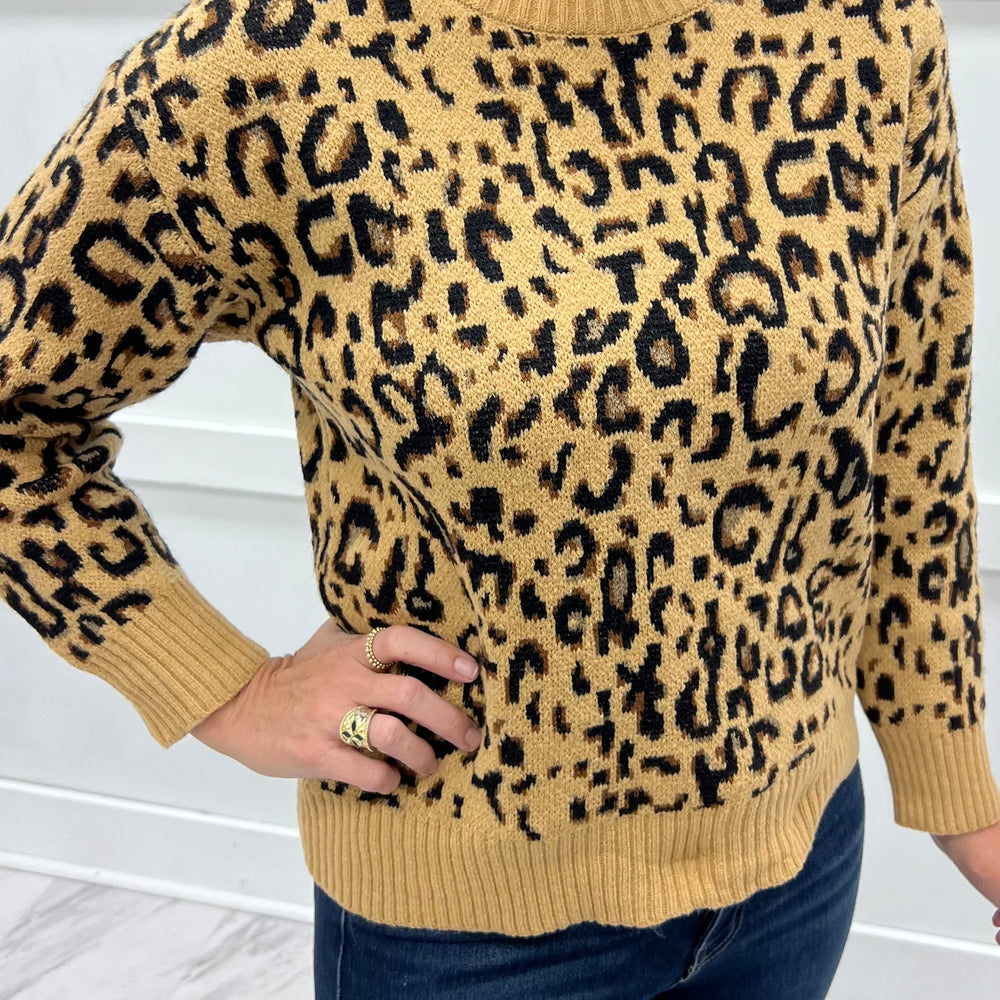 
                  
                    Chic Spots Leopard Sweater
                  
                