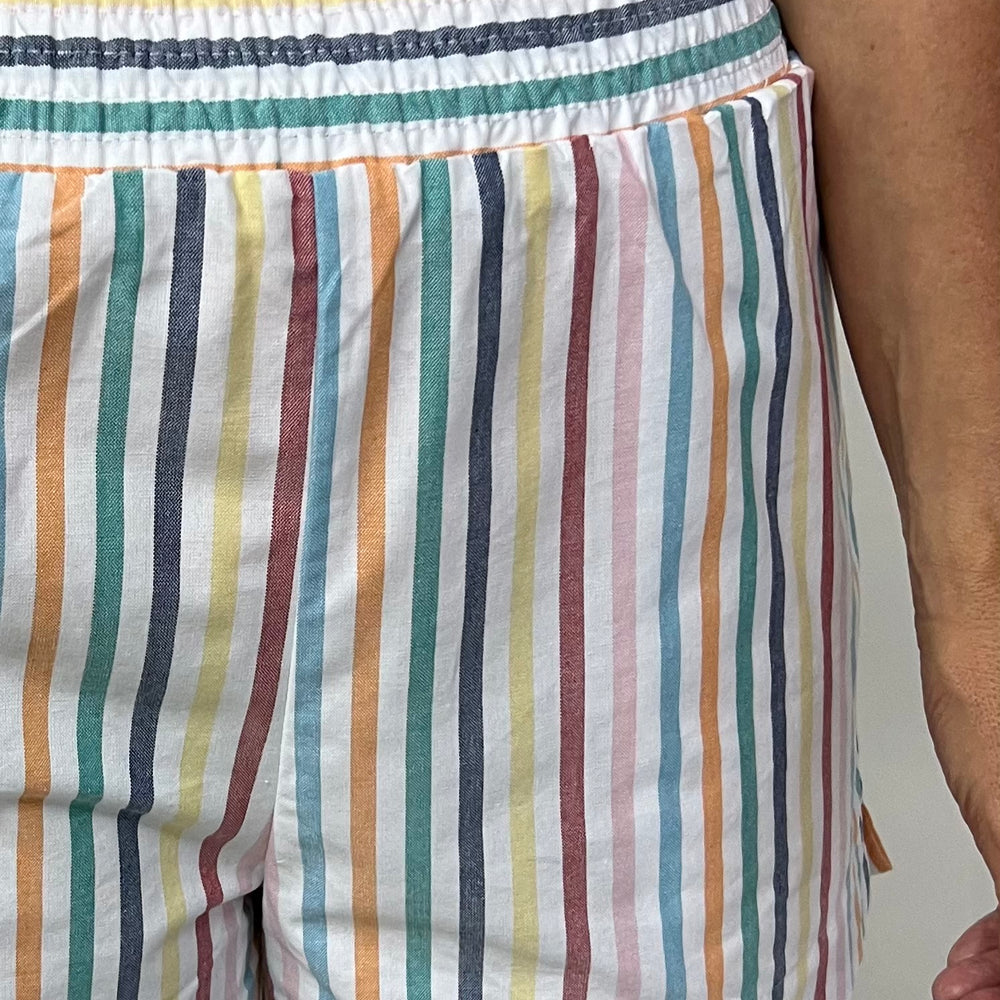 Summerscape Striped Shorts - FINAL SALE