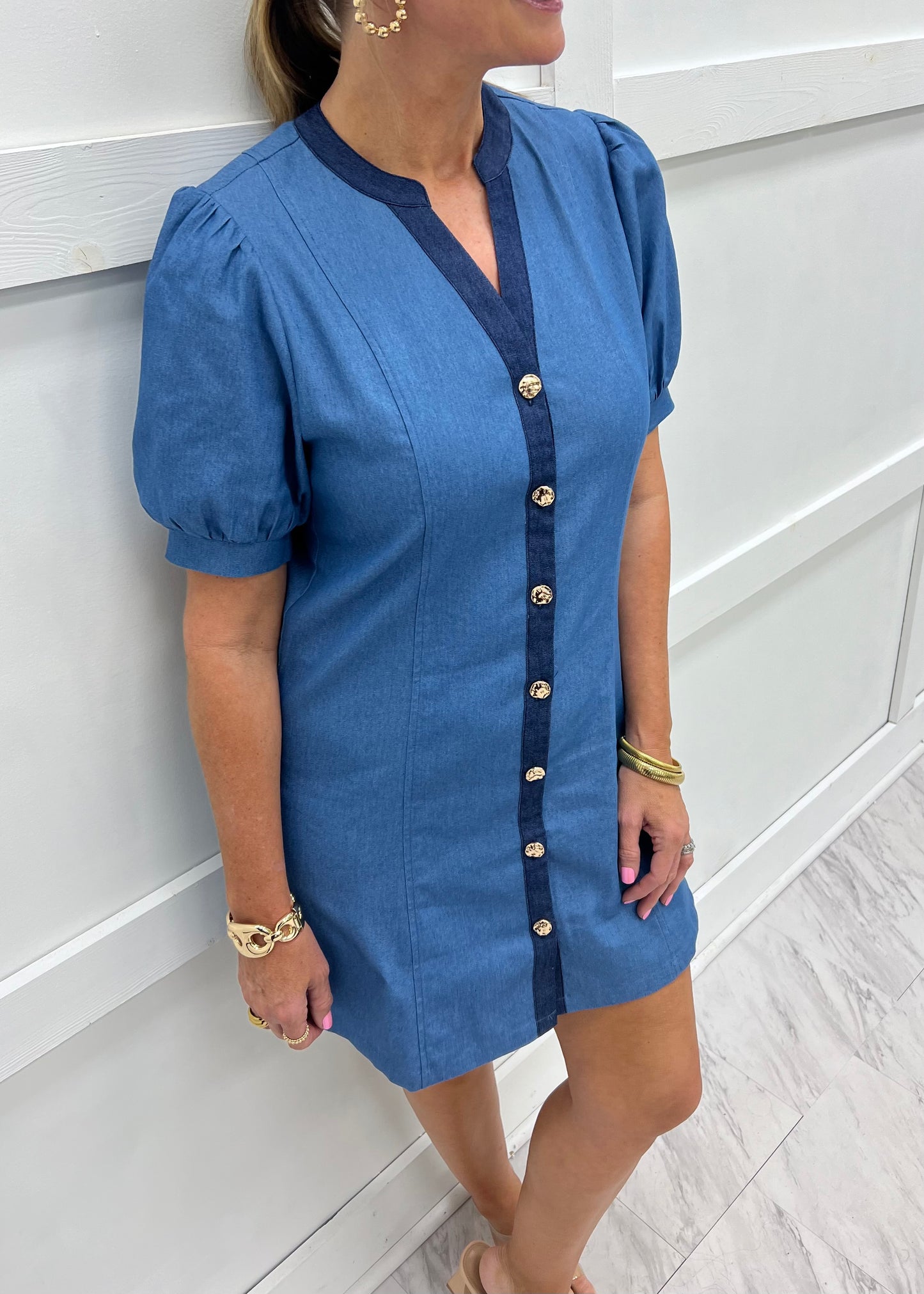 Delta Denim Button Front Dress