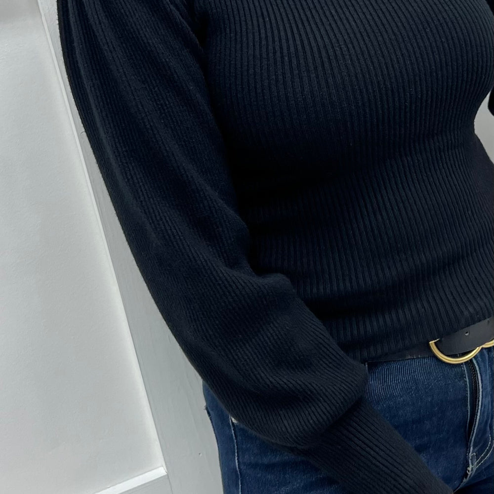 
                  
                    Hunter Ribbed Knit Turtleneck Top (Black)
                  
                