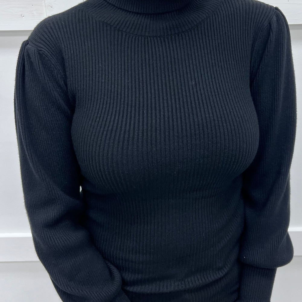 
                  
                    Hunter Ribbed Knit Turtleneck Top (Black)
                  
                