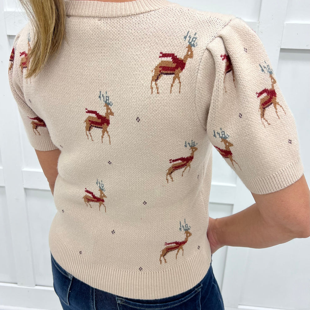 
                  
                    Reindeer Cheer Sweater
                  
                