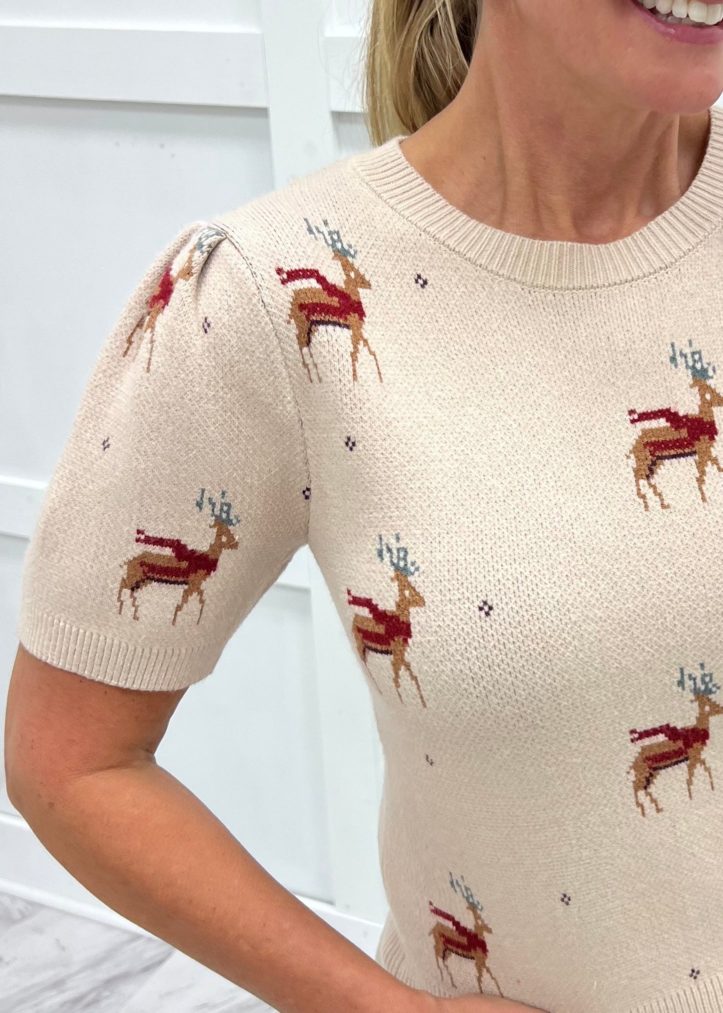 Reindeer Cheer Sweater