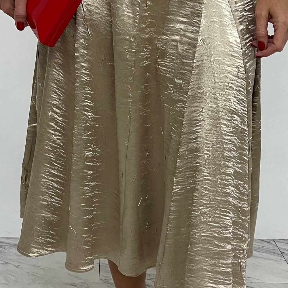 
                  
                    Champagne Toast Midi Skirt
                  
                