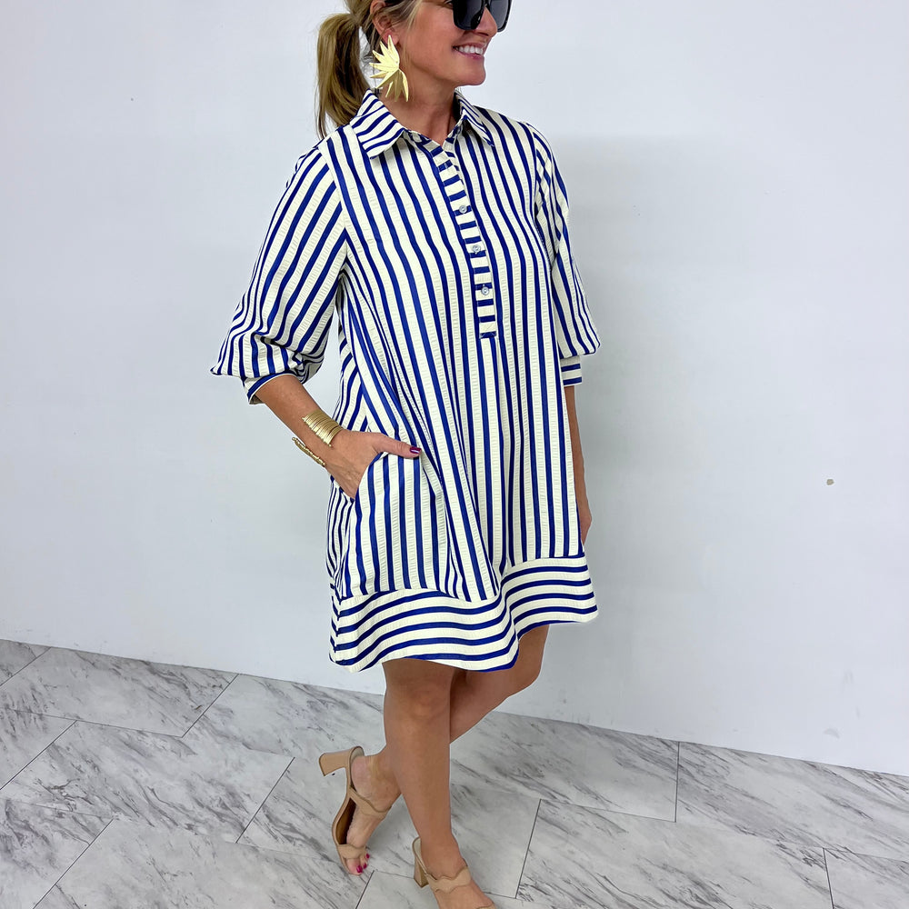 Parker Stripe Dress (Blue)