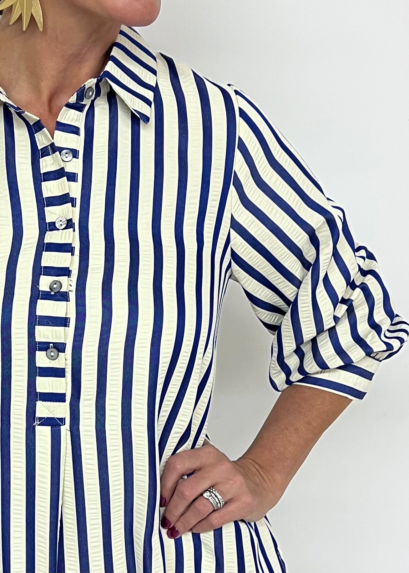 Parker Stripe Dress (Blue)