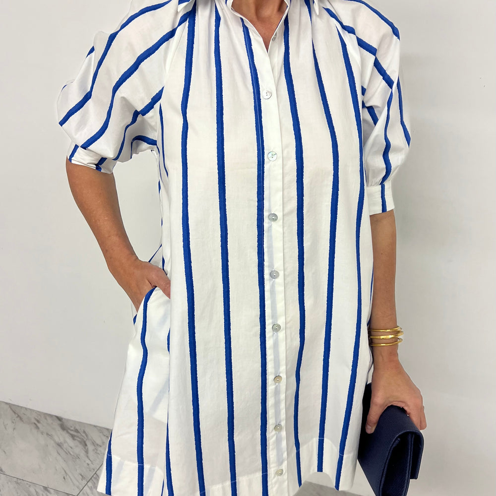 Eden Stripe Shirt Dress