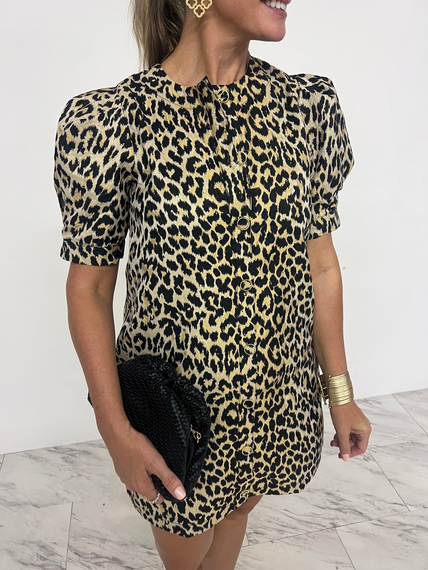 Tierney Taupe Leopard Dress