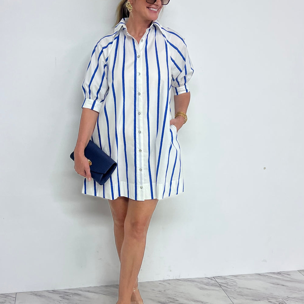 
                  
                    Eden Stripe Shirt Dress
                  
                